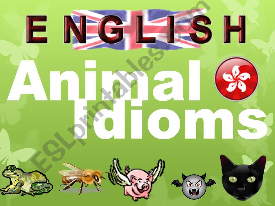 the  English animals idioms powerpoint