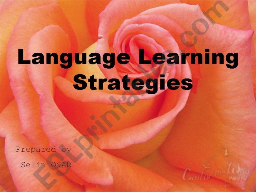 language learning strategies  powerpoint