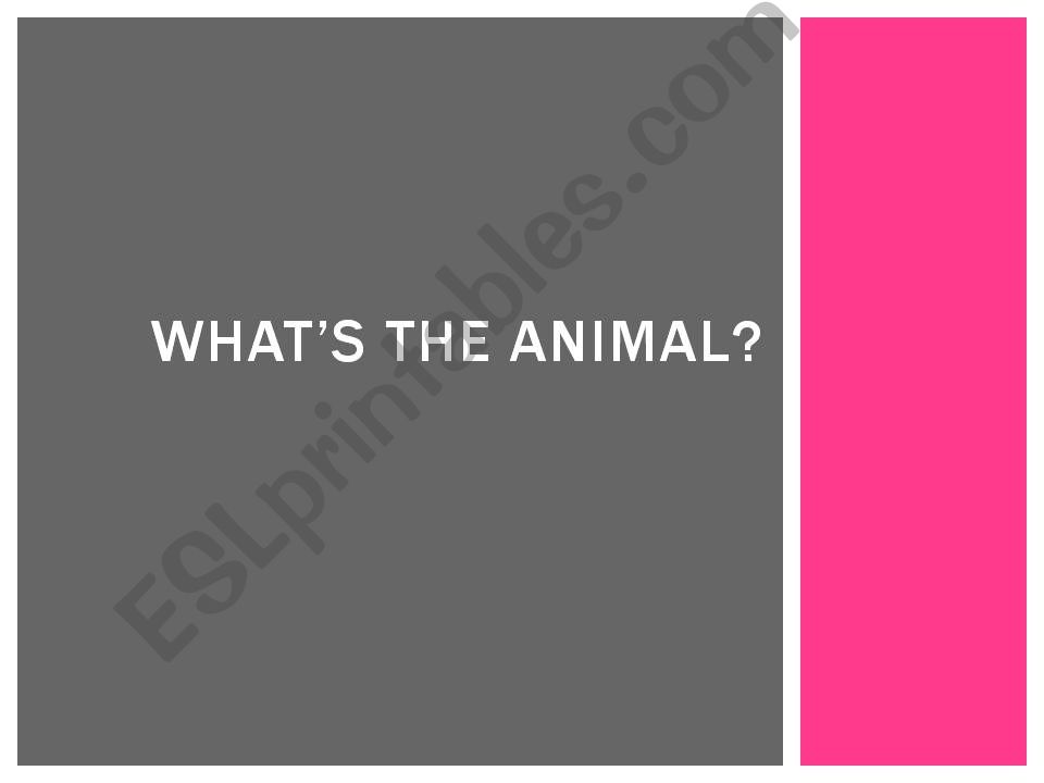 Whats the animal? powerpoint