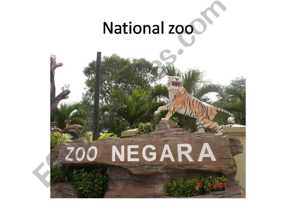 PICTURES OF ANIMALS IN THE ZOO