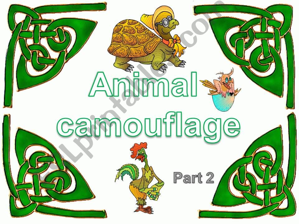 Animals camouflage powerpoint