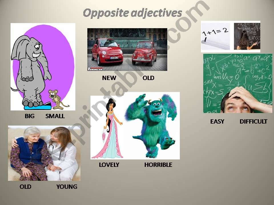 Headway elementary Unit 2 Opposite adjectives