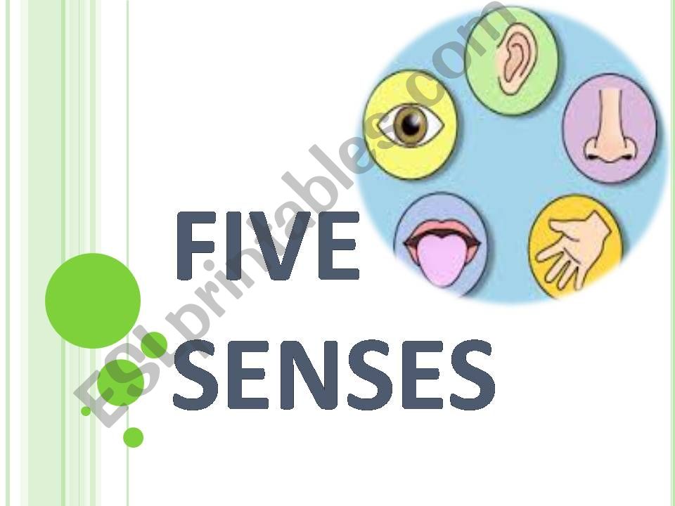 five senses powerpoint