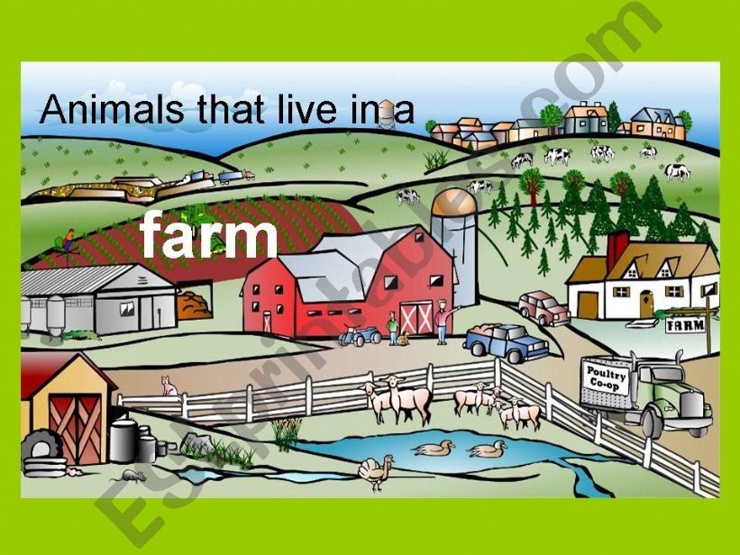 Farm animal powerpoint