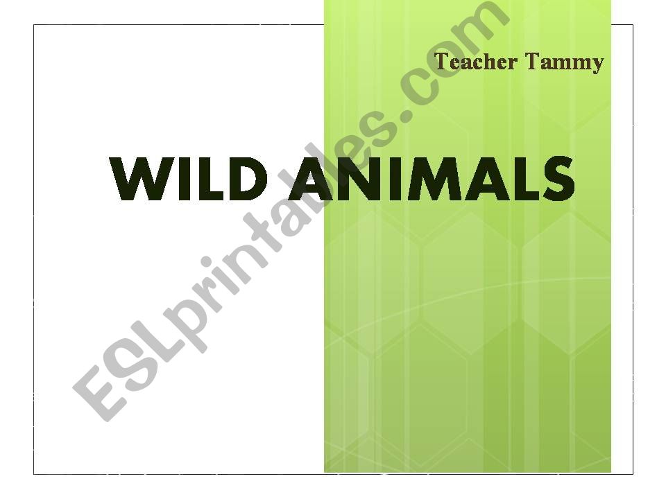 Wild animals powerpoint