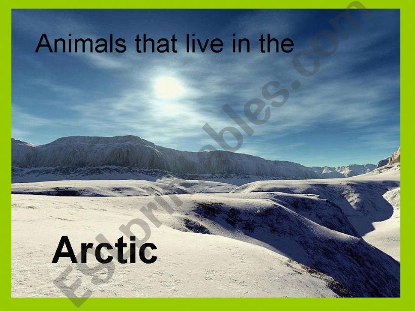 Arctic animals powerpoint