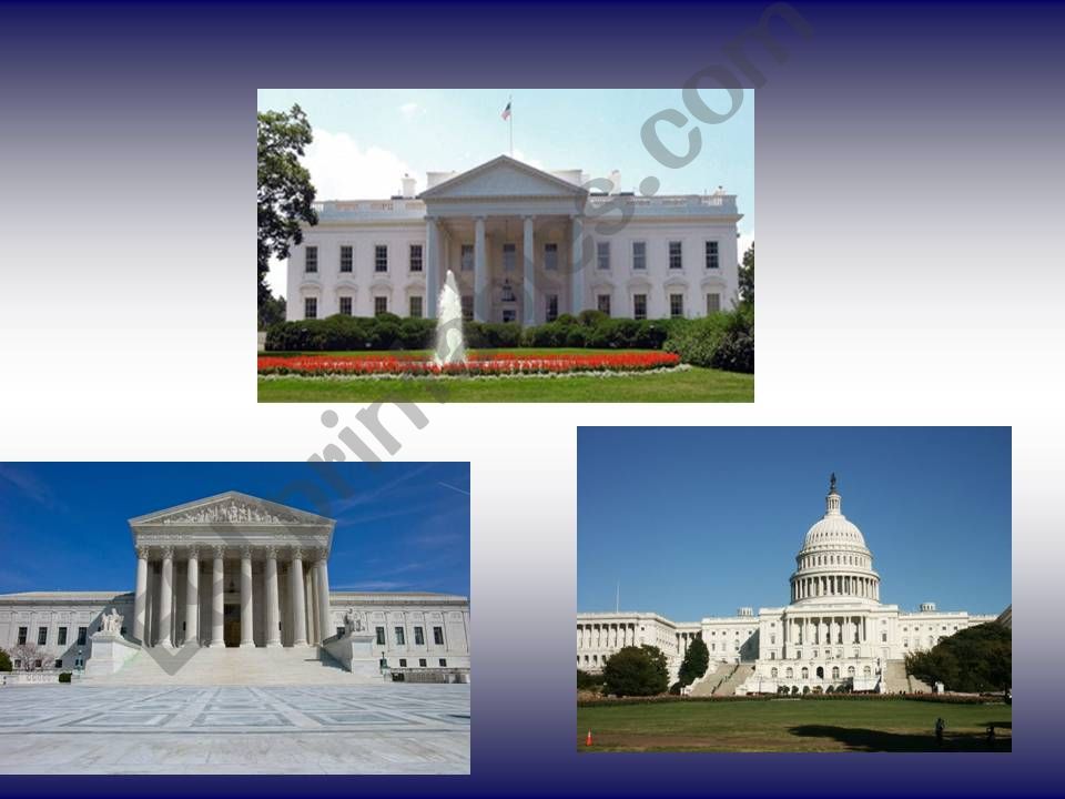 Branches of Government powerpoint
