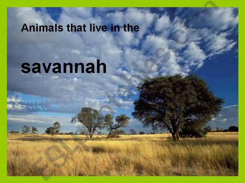savannah animals powerpoint