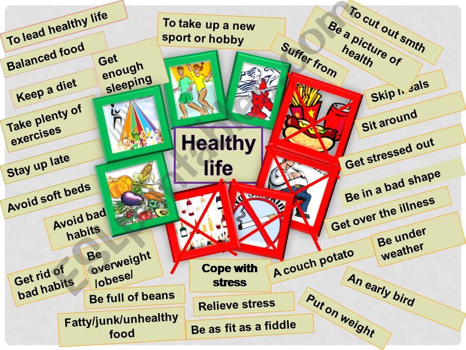 Active vocabulary, HEALTHY LIFE.