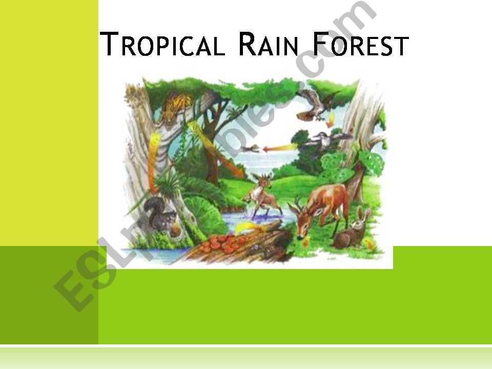 Rain Forest powerpoint