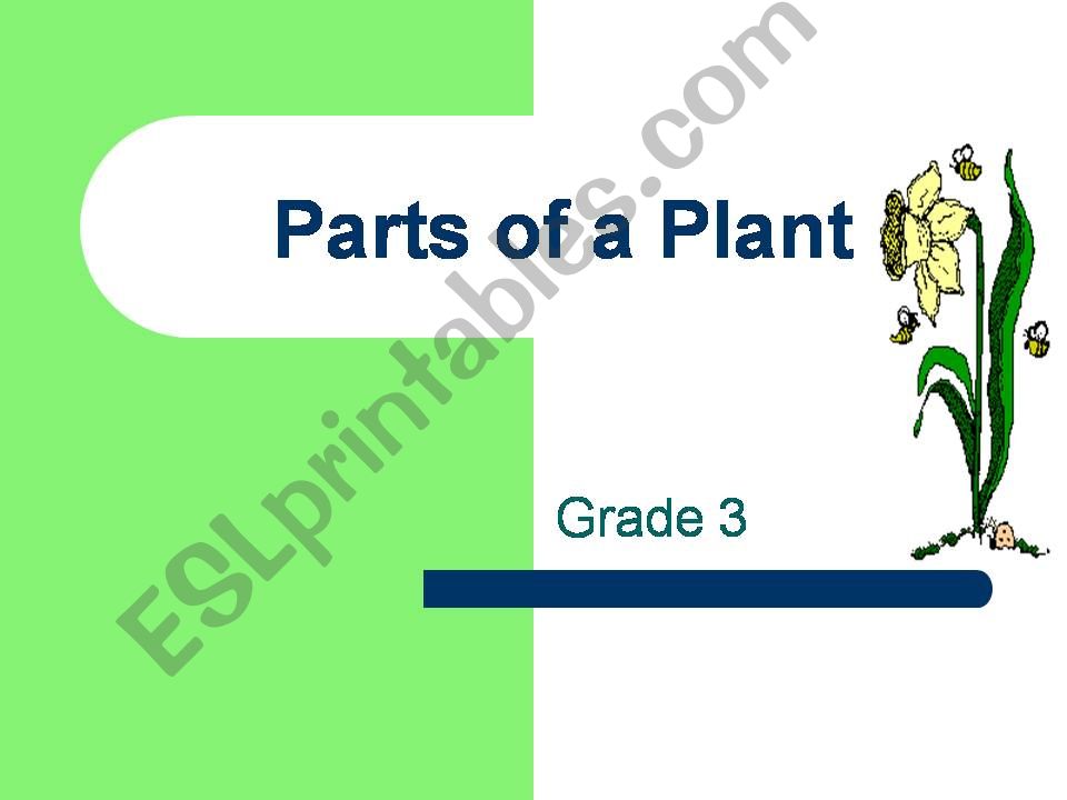 The parts of a plant powerpoint