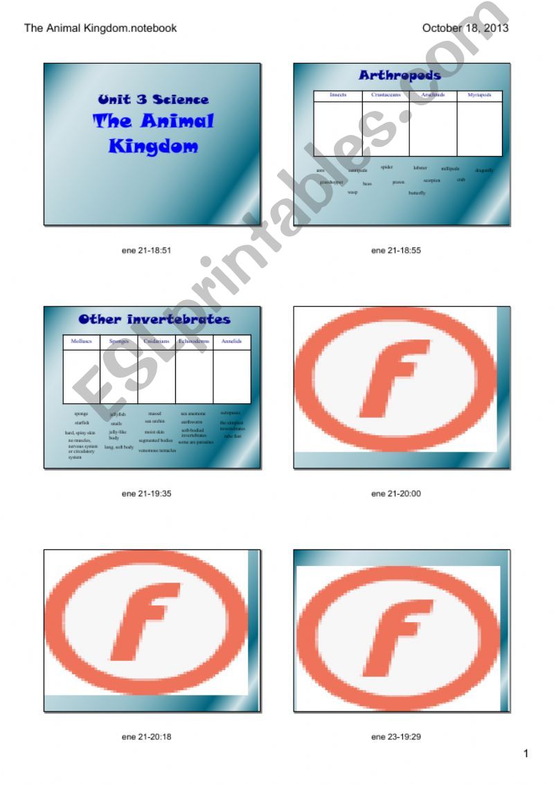 The animal kingdom powerpoint