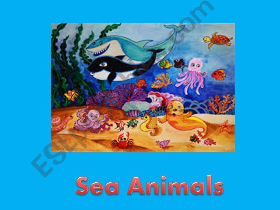 Sea animals powerpoint