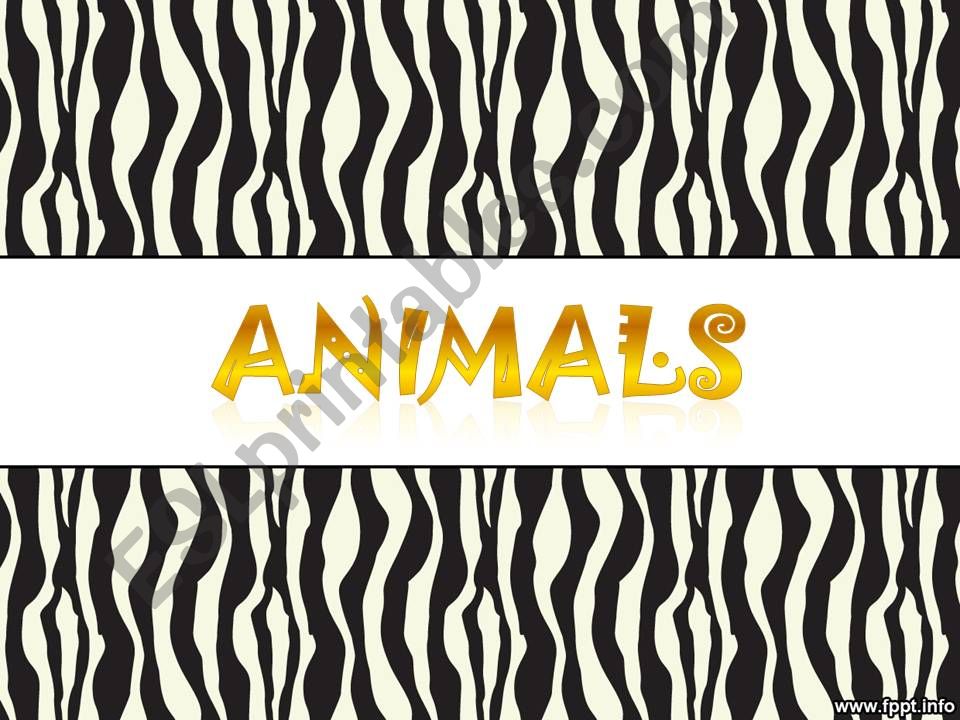 Animals powerpoint