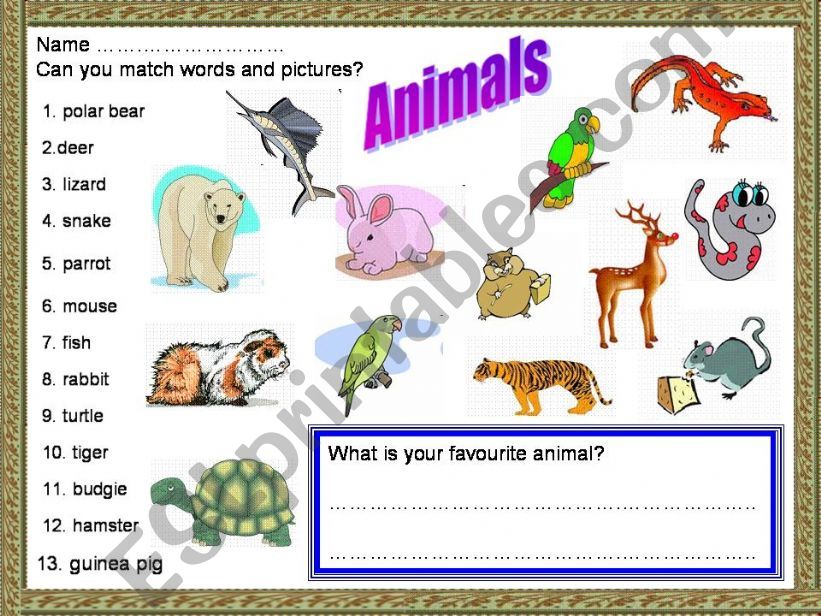 Animals powerpoint