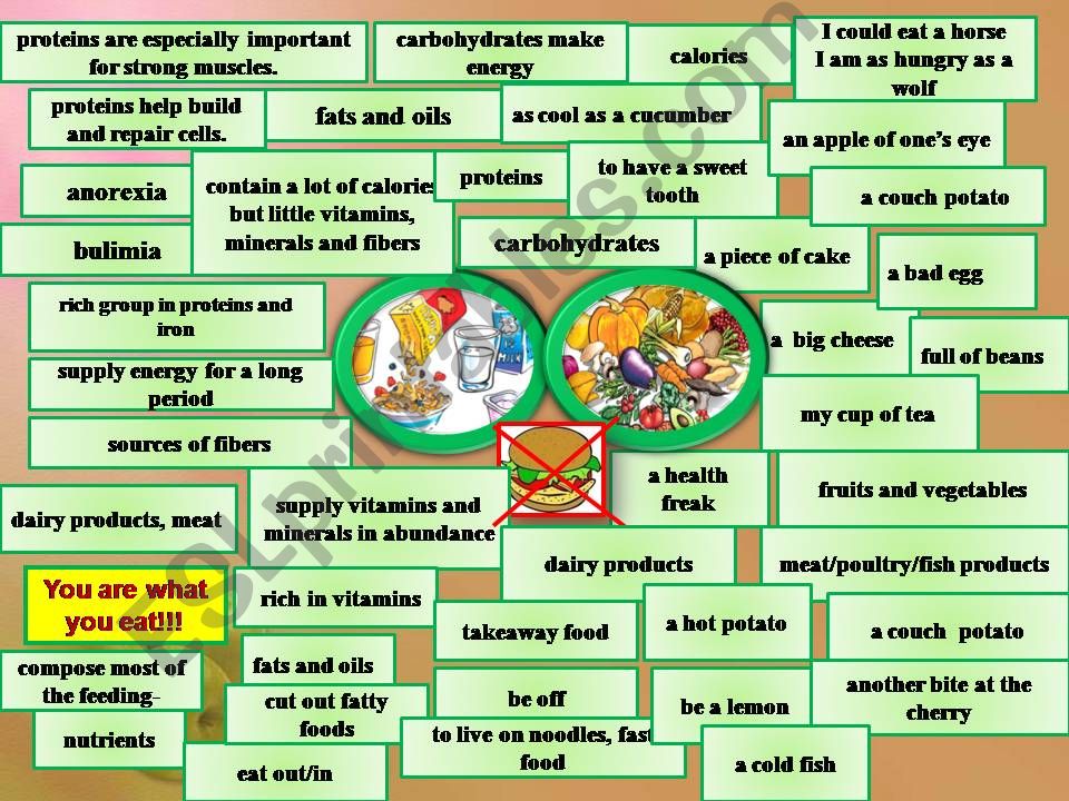 You are what you eat!!! Active vocabulary to be used. 