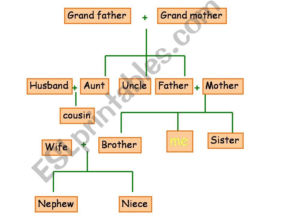 Family-related vocabulary powerpoint