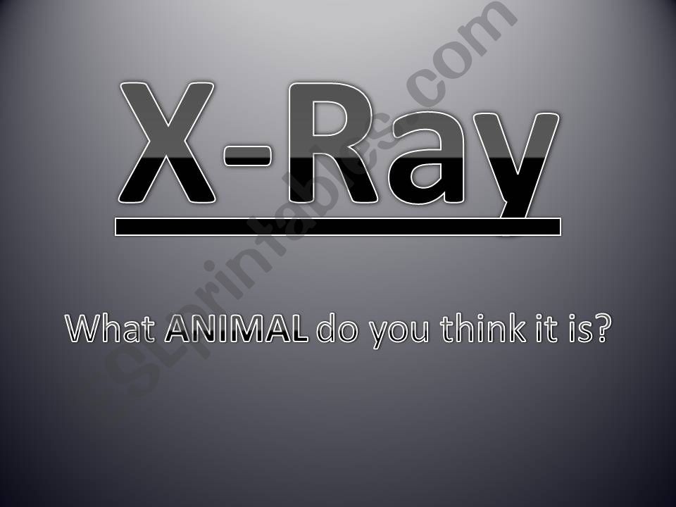 PETS PHONICS XRAY Hidden Pictures PPT Game