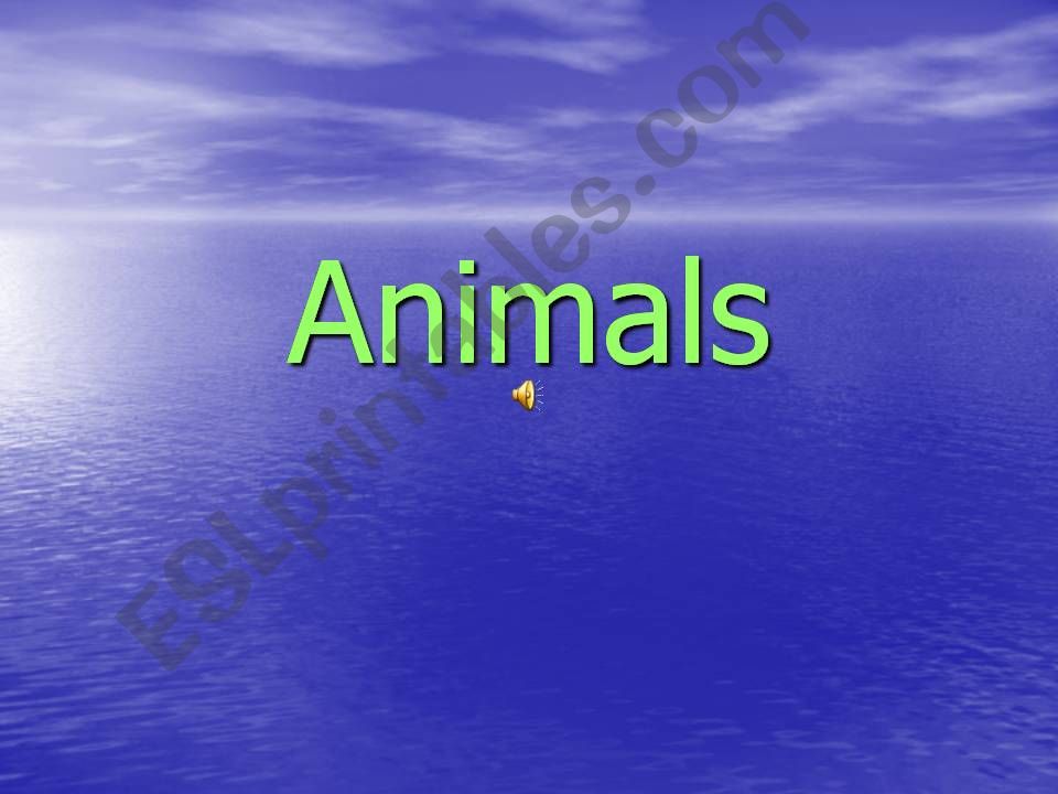 animals powerpoint