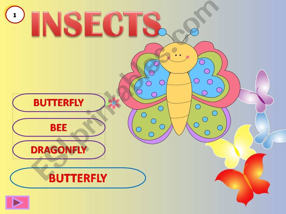 Insects powerpoint
