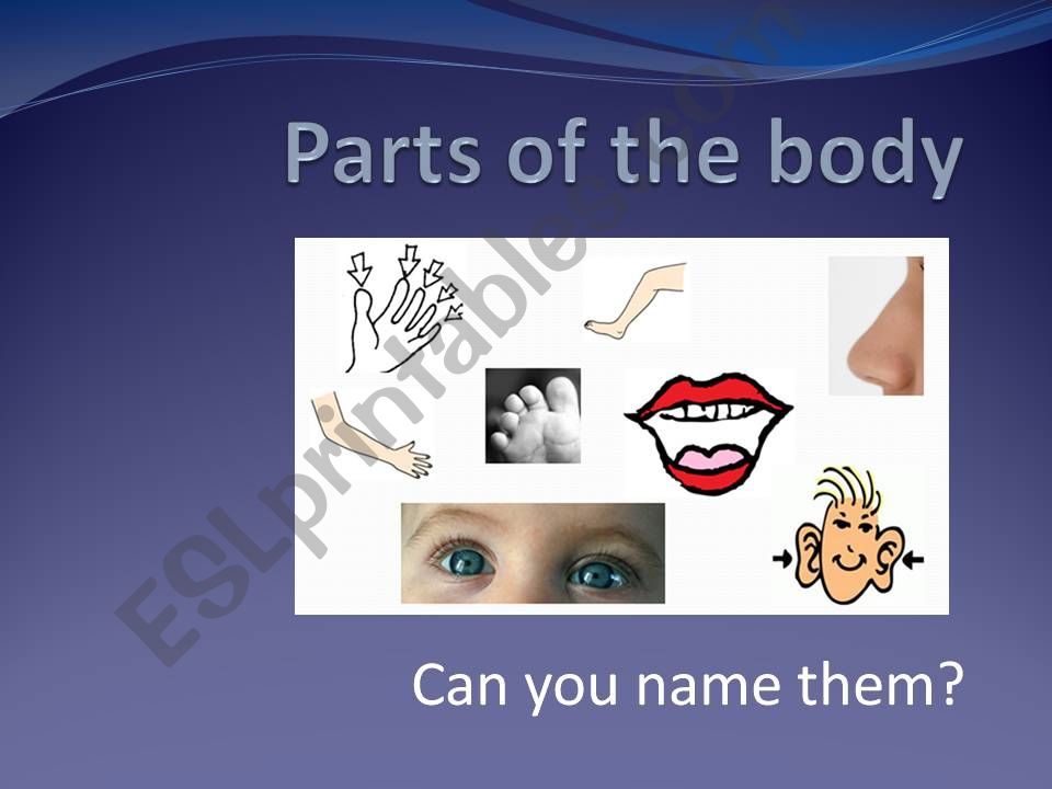 Parts of the body powerpoint