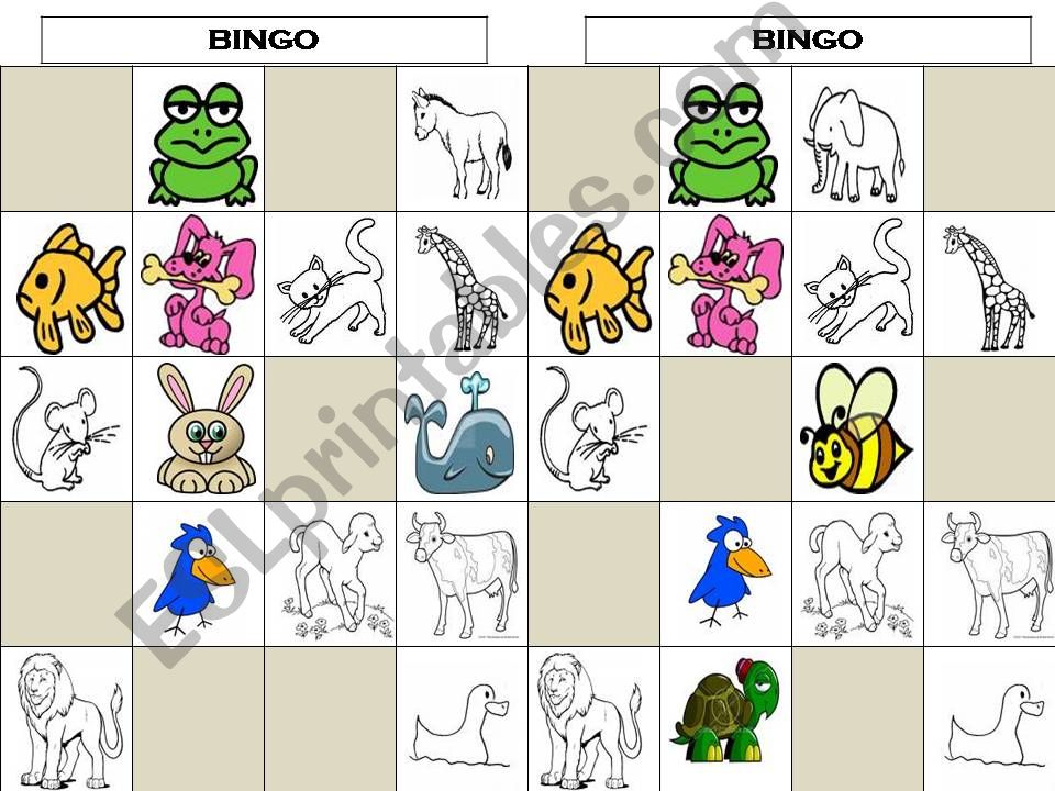 Animals bingo2 powerpoint