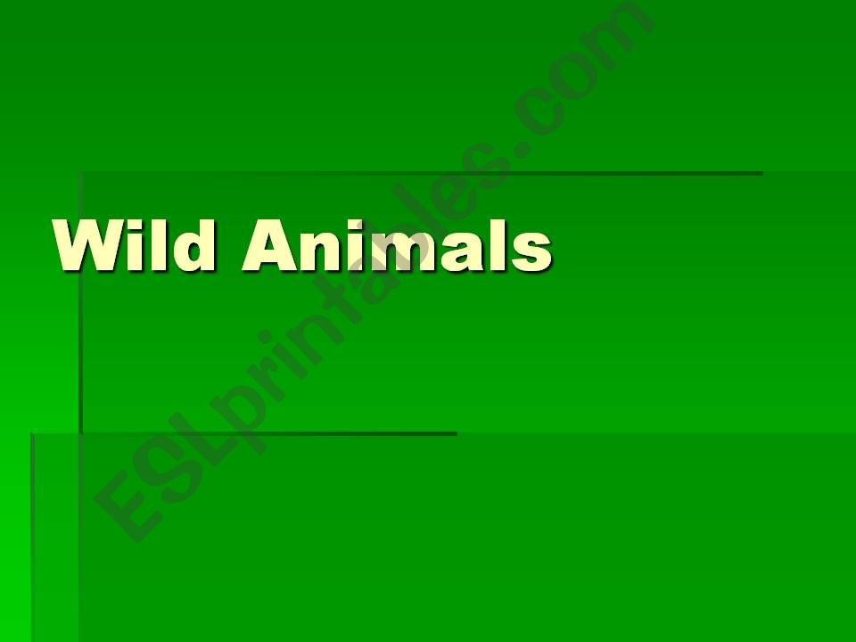 Wild animals powerpoint