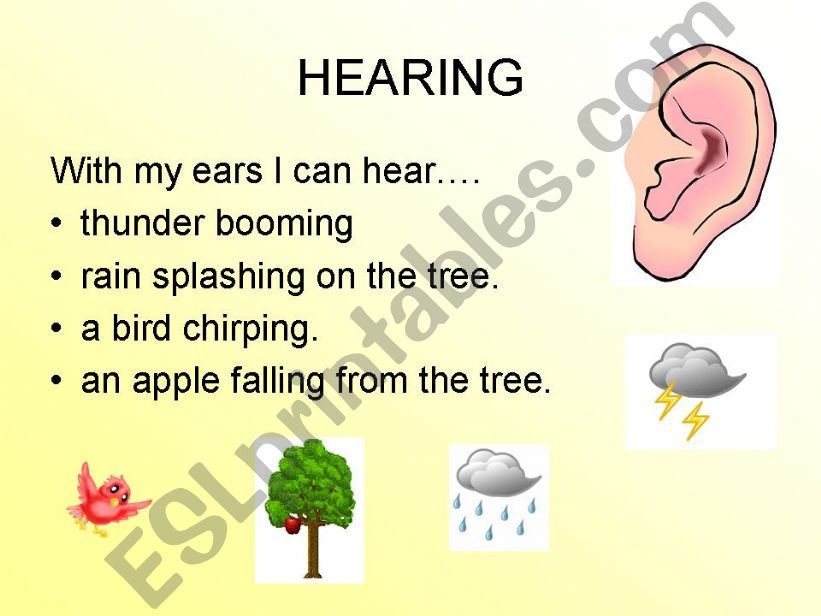 Five senses3 powerpoint