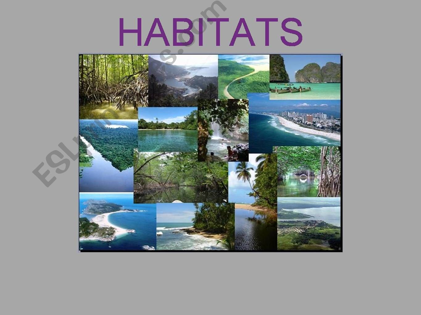 Habitats powerpoint