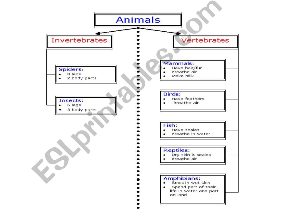 Classify animals powerpoint