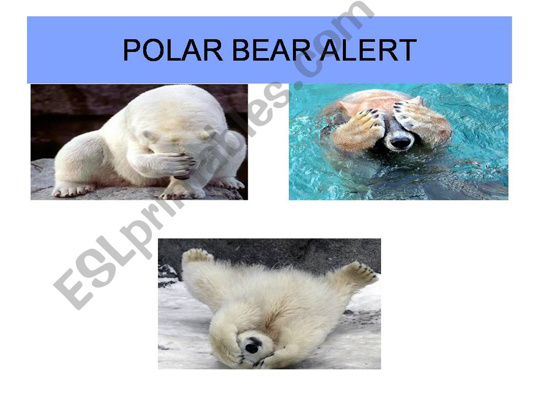 Polar bear alert powerpoint