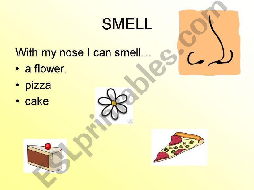 fives senses6 powerpoint