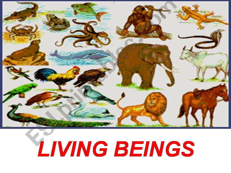 LIVING BEINGS- PART 1 powerpoint