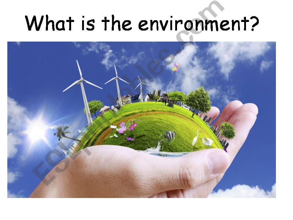 Presentation: What is the environment?