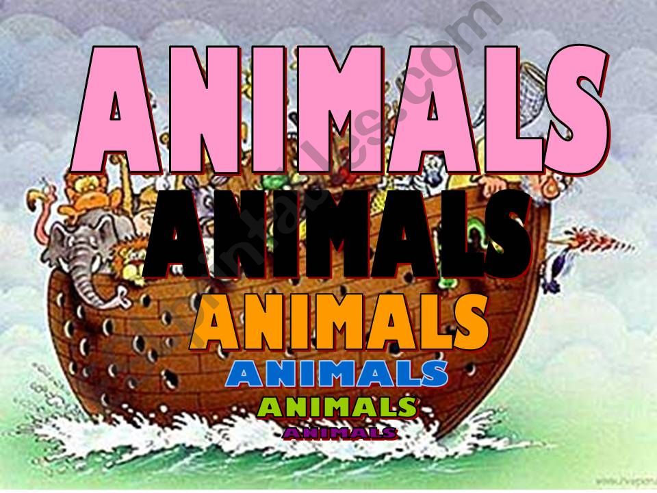 animals powerpoint