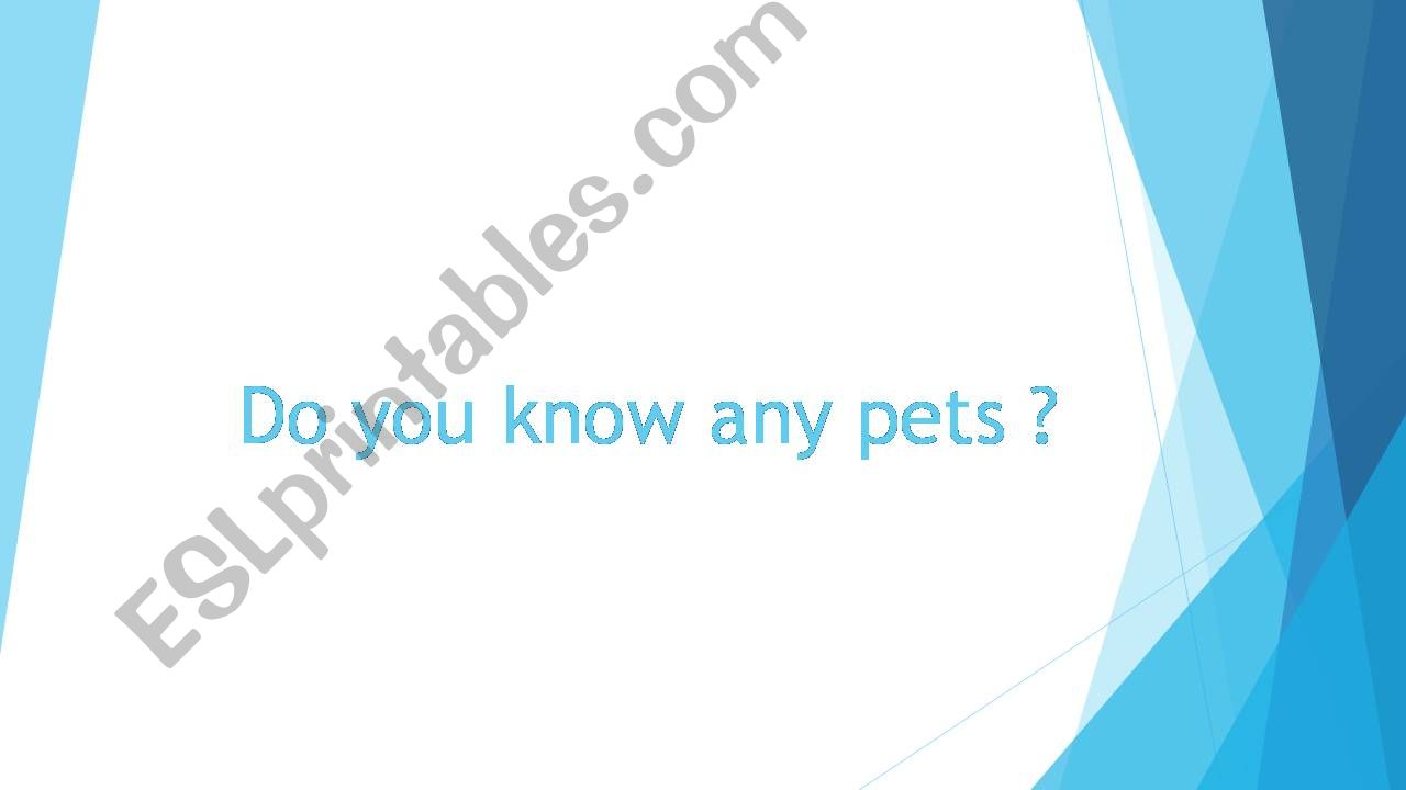 Do you know any pets ? powerpoint