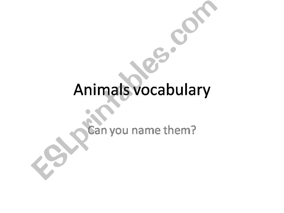 Animals vocabulary powerpoint