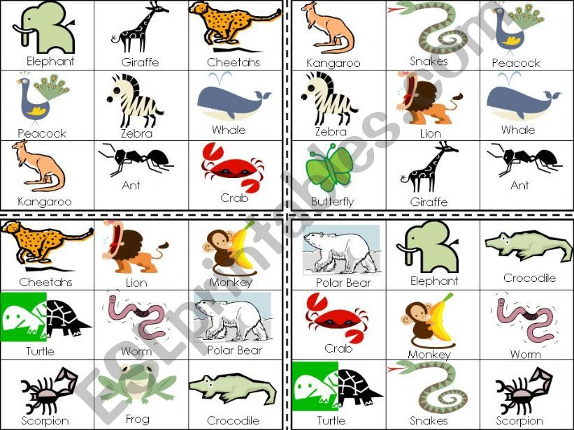 Animals Bingo powerpoint