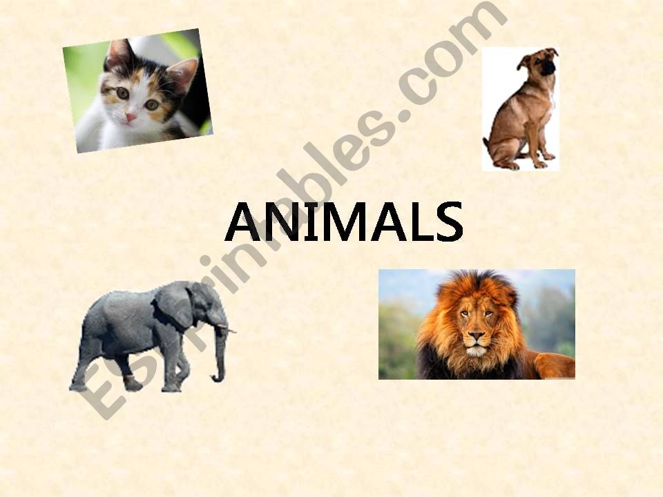 Animals powerpoint