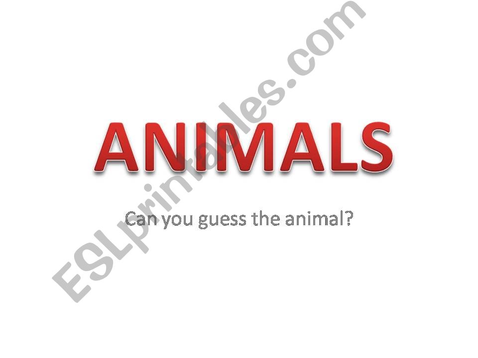 Guess the animal powerpoint