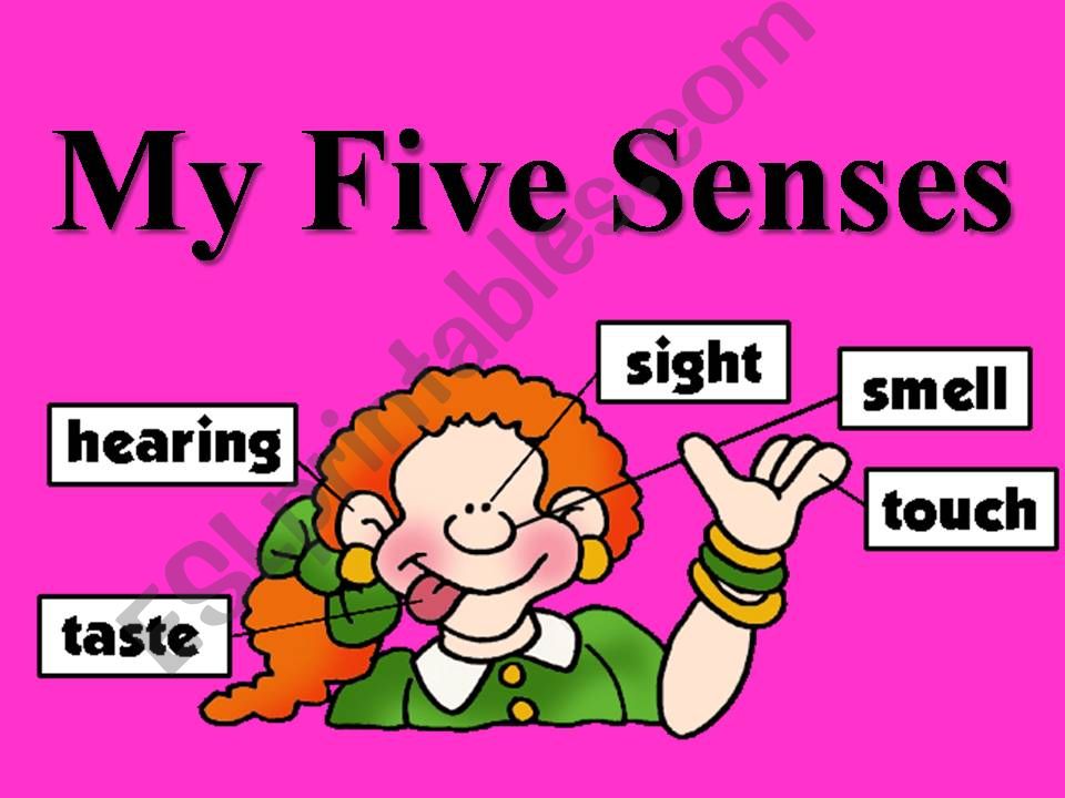 Five Senses powerpoint