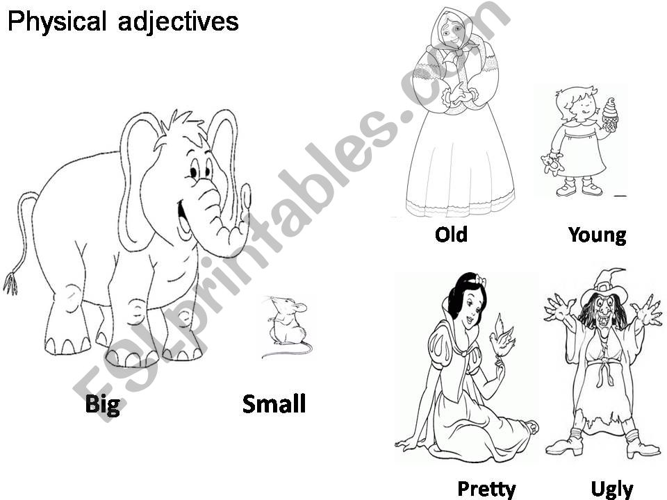 physical adjectives powerpoint