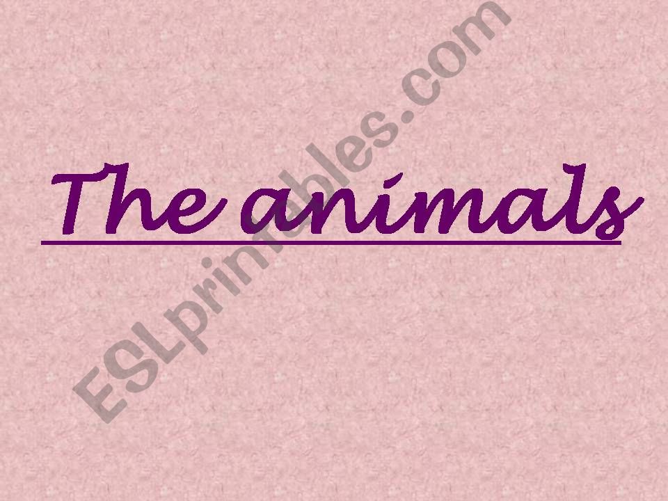Animals and sounds powerpoint