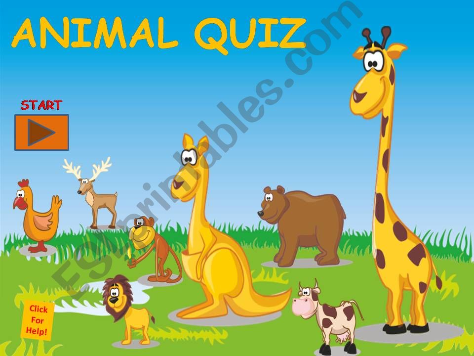 ANIMAL QUIZ powerpoint