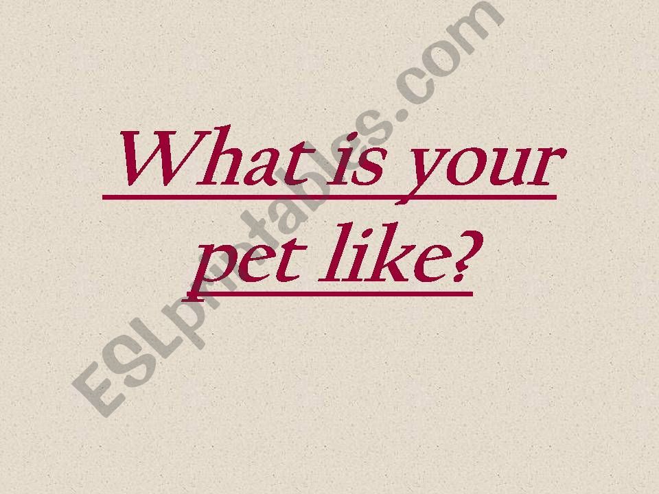 What is your pet like? powerpoint