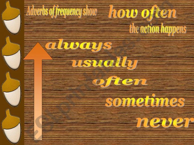 Adverbs of frequency powerpoint