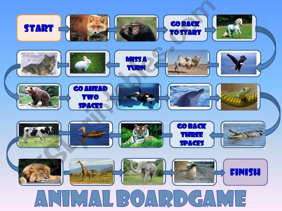 Animal boardgame powerpoint