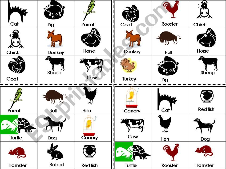 Bingo about pets powerpoint