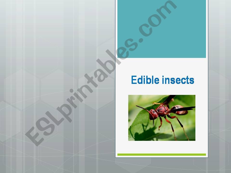 Edible insects powerpoint