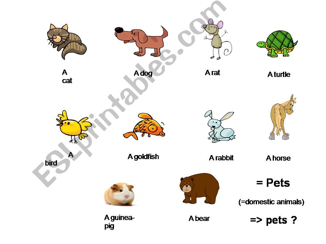 Do you have pets? powerpoint